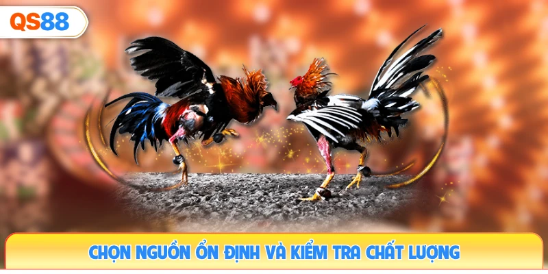 chon-nguon-on-dinh-va-kiem-tra-chat-luong