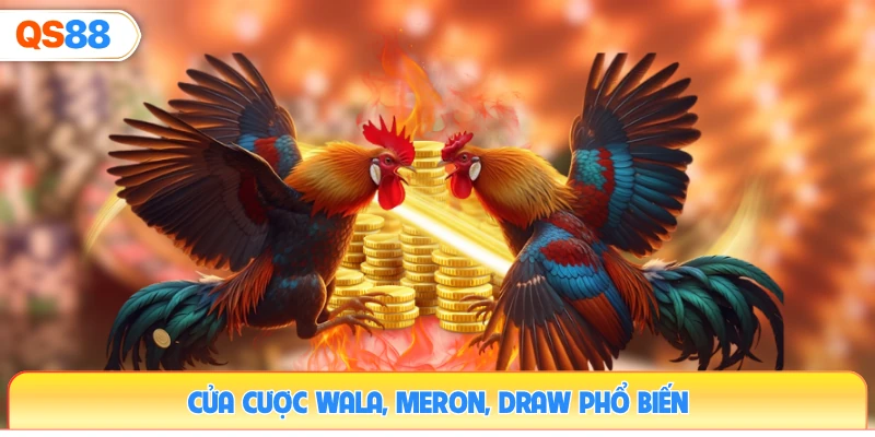 cua-cuoc-wala-meron-draw-pho-bien