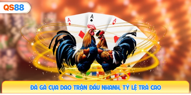 da-ga-cua-dao-tran-dau-nhanh-ty-le-tra-cao
