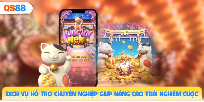 dich-vu-ho-tro-chuyen-nghiep-giup-nang-cao-trai-nghiem-cuoc