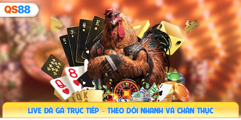 live-da-ga-truc-tiep-–-theo-doi-nhanh-va-chan-thuc