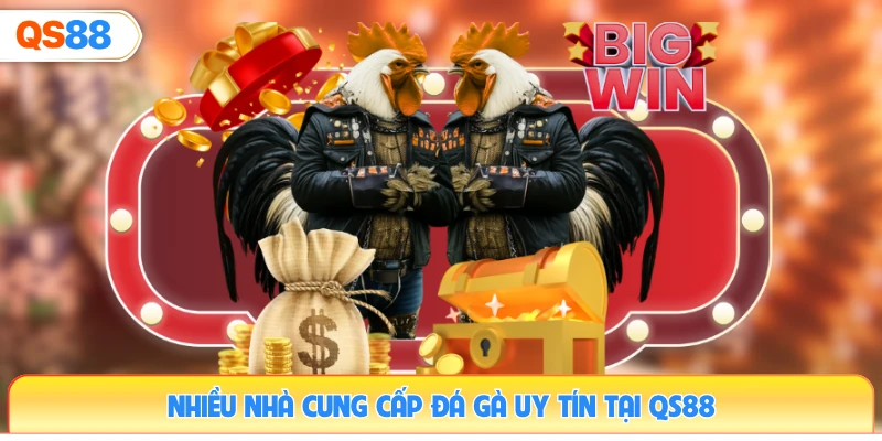 nhieu-nha-cung-cap-da-ga-uy-tin-tai-qs88