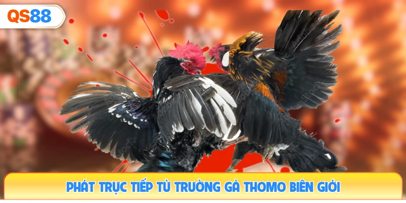 phat-truc-tiep-tu-truong-ga-thomo-bien-gioi