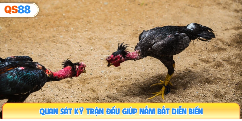 quan-sat-ky-tran-dau-giup-nam-bat-dien-bien