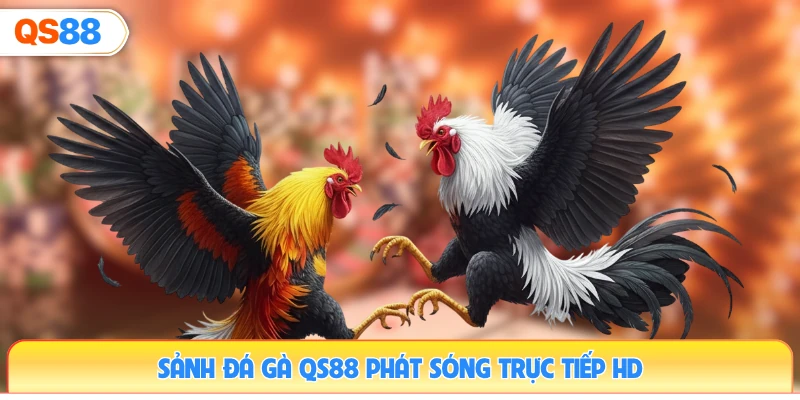 sanh-da-ga-qs88-phat-song-truc-tiep-hd