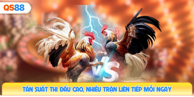 tan-suat-thi-dau-cao-nhieu-tran-lien-tiep-moi-ngay