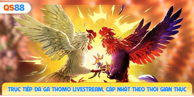 truc-tiep-da-ga-thomo-livestream-cap-nhat-theo-thoi-gian-thuc