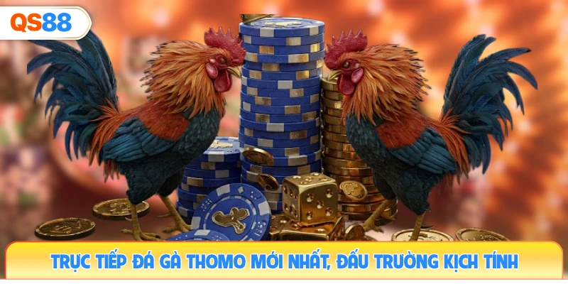 truc-tiep-da-ga-thomo-moi-nhat-dau-truong-kich-tinh